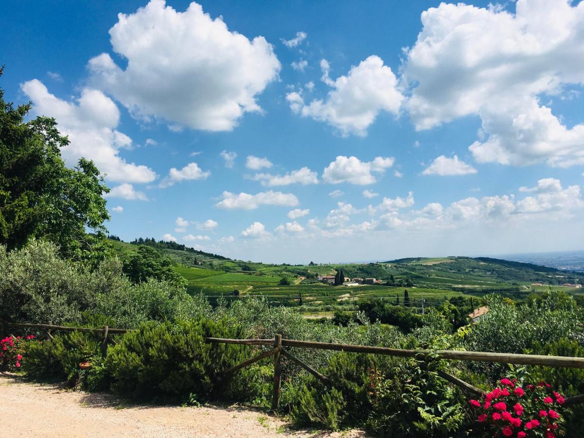 Agriturismo La Perlara - Adults Only 维罗纳 外观 照片