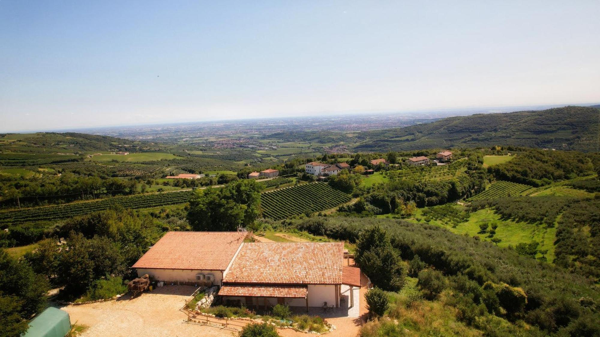 Agriturismo La Perlara - Adults Only 维罗纳 外观 照片