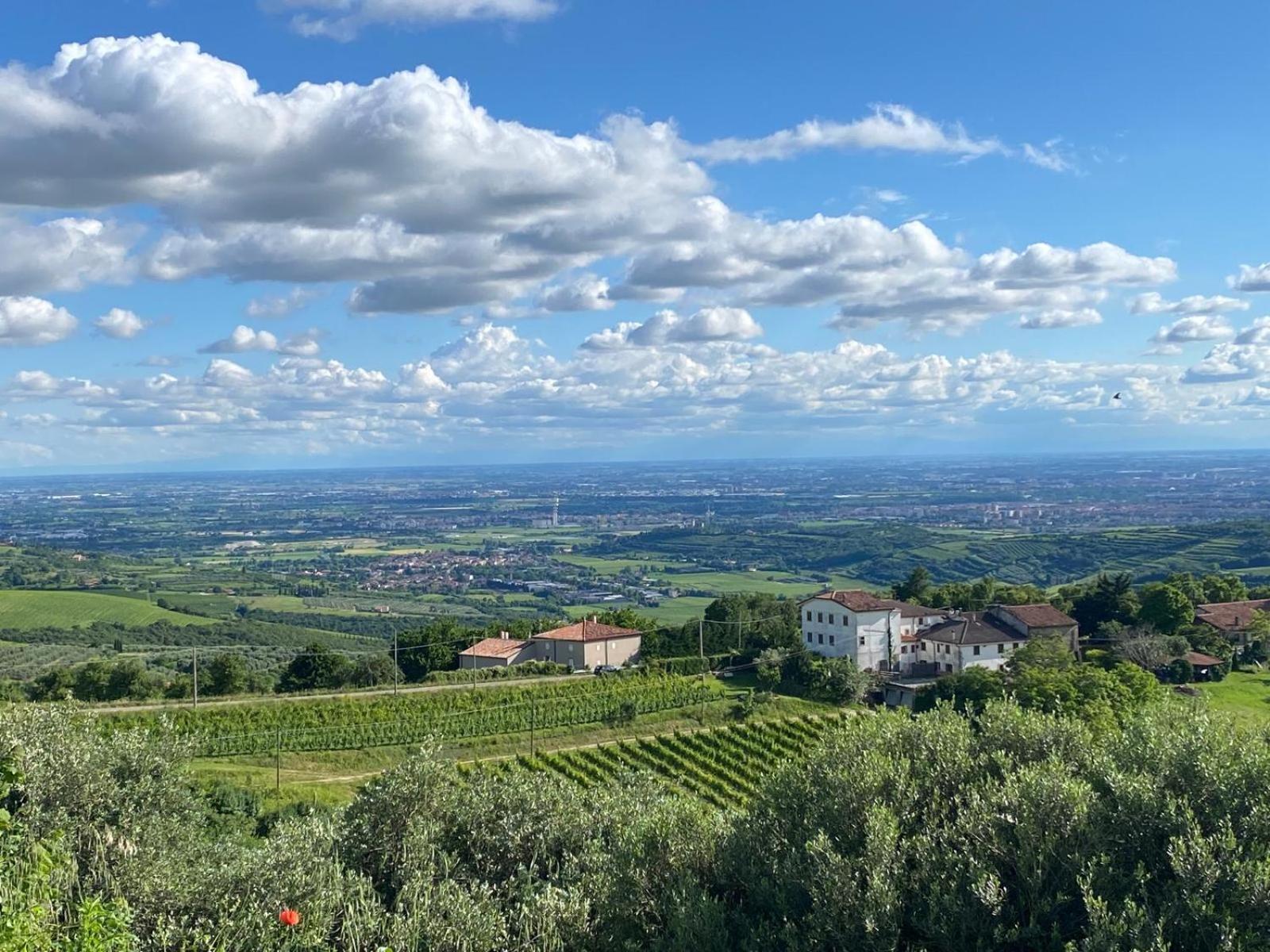 Agriturismo La Perlara - Adults Only 维罗纳 外观 照片